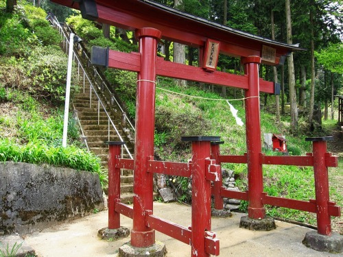 todayintokyo: Torii leading to a small forest shrine in Yamanashi