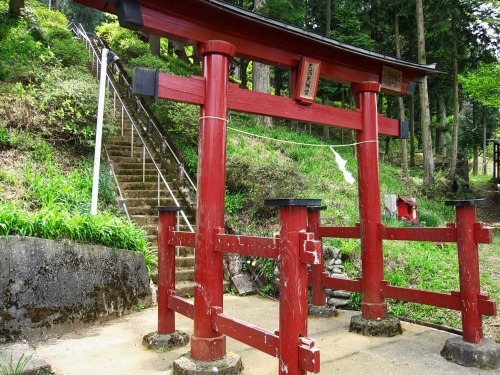 todayintokyo:Torii leading to a small forest shrine in Yamanashi