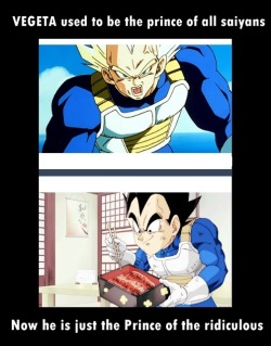 yenrisan:  gad88:  yenrisan:  gad88:  I found this image and is so true…  Oh yes, because the Vegeta before was so much better? The “prince of all saiyans” that didn’t care about anyone but himself, put his own family at risk, neglected his responsibiliti