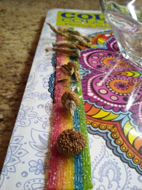 thesunnyblunts:Rainbow Road