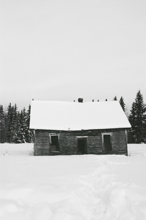  nature & vintage blog 