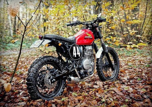 bikebound:  “Dirty Sandy” Honda #NX650 #scrambler by @nicomeisso. 📷: @gotzgoppert. 🍂🍁🍂