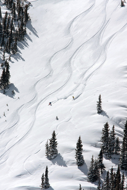 de-preciated:
“Copper Mountain Fresh Tracks by Visit Colorado on Flickr.
”