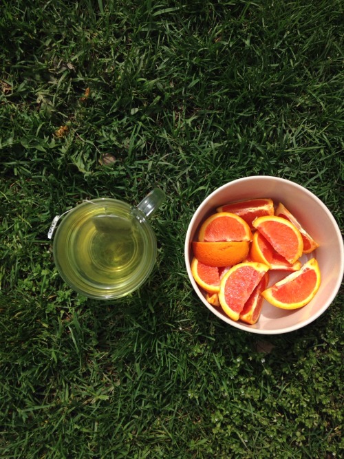 fawnscout:this was the tastiest orange i ever ate