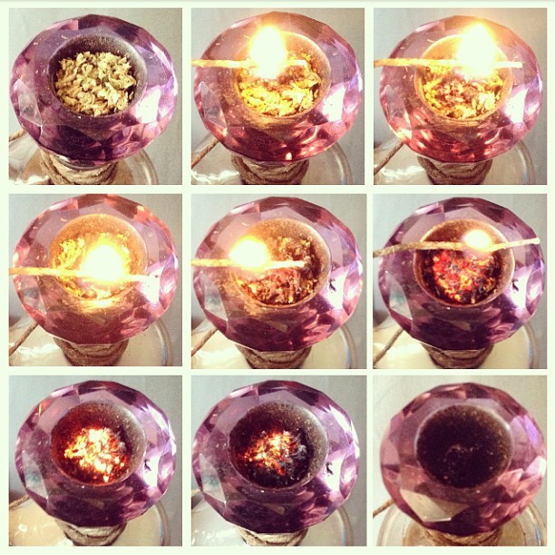 bluntess:the life diamond in action 