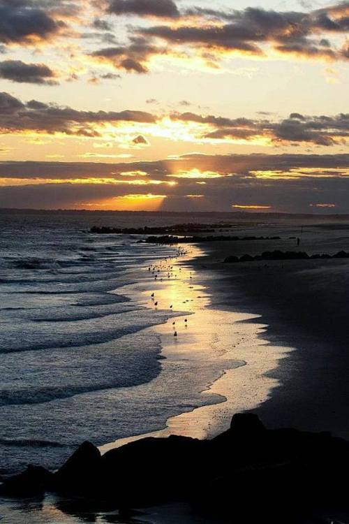 moreka: kapu1: Golden hour  Beautiful ❤️