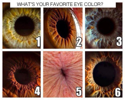 5 Looks Like Either A Pee Hole Or A Butt Hole.