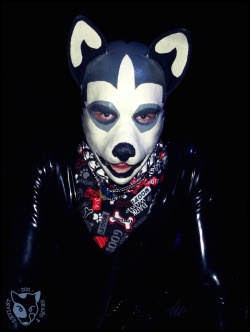 deviantdogsnaps:  Rubber Pup at the Pig