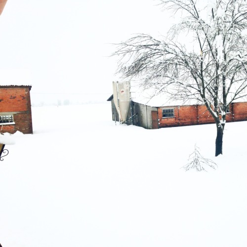 &ldquo;Ho incontrato il tuo sorriso dolce con questa neve bianca e adesso mi sconvolge&rdquo; ❤️