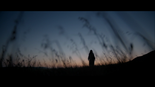 Second dream“The Revenant”, A.G. Iñarritu, 2015