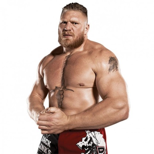 fishbulbsuplex:Brock Lesnar