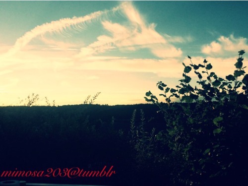 Sky + nature perspective-©mimosa203/photo