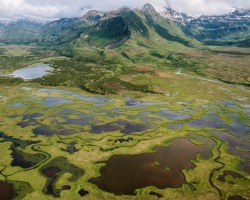 magrei:Alaska has some incredible diverse