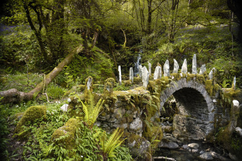 eunicemoonice:The Fairy Bridge, Scotland