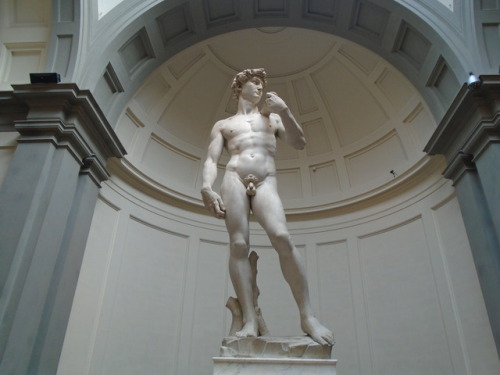 showers-of-joy:David || Michelangelo || 1501–04 || Galleria dell'Accademia, Florence
