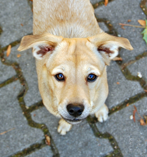 Don&rsquo;t look into her eyes for too long or you would fall in love