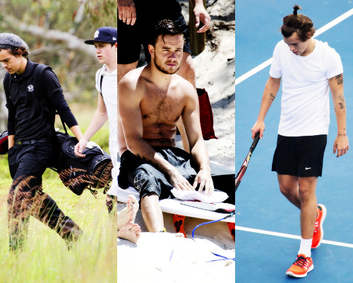 hstuyles:  1D Throwback 2013  One Direction in Australia   