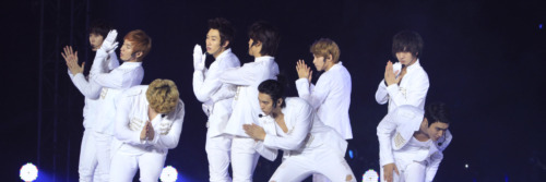 Super Junior Headers