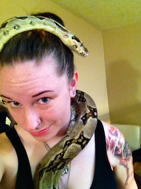 warofthering:  “Downsides” to having a snake