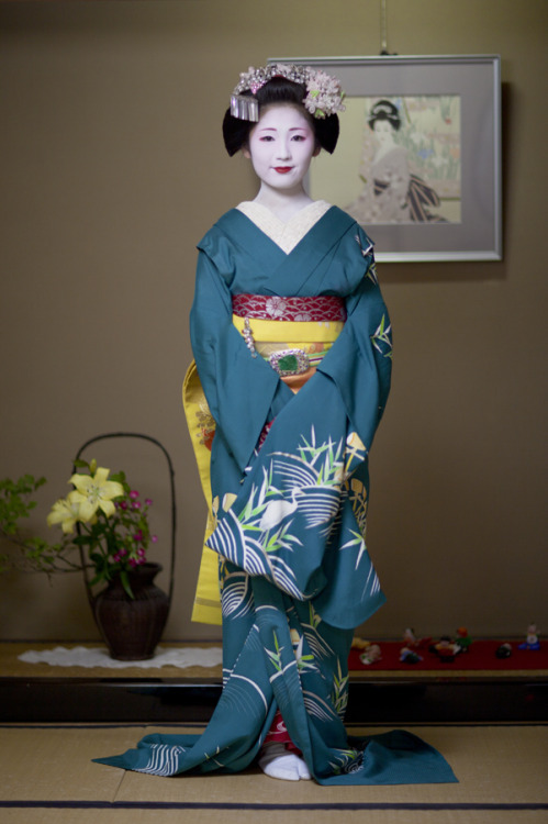 This usumono coordinate owned by Tsurui okiya (Gion Kobu) is for senior maiko, and has been worn by 