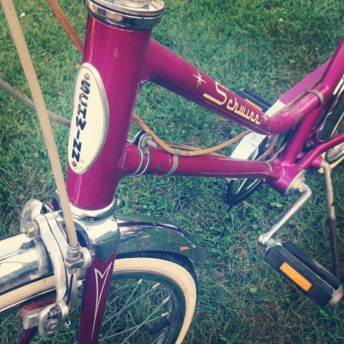 shorecat:  New bike???!!!!! #schwinn #1970 #violet #vintage