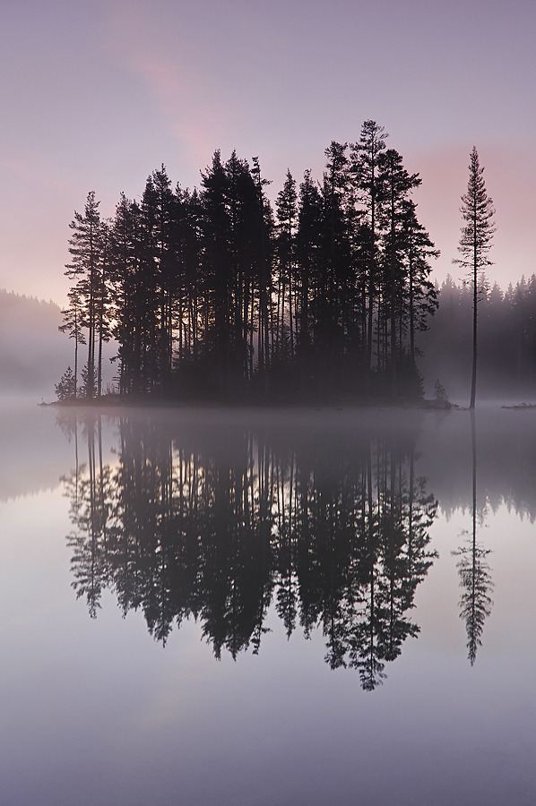 woodendreams:  (by Simeon Simeonov)
