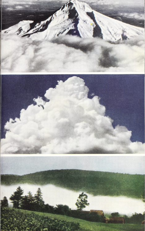 nemfrog:Where clouds form. Understanding Our World. Book 2. 1947. Internet Archive