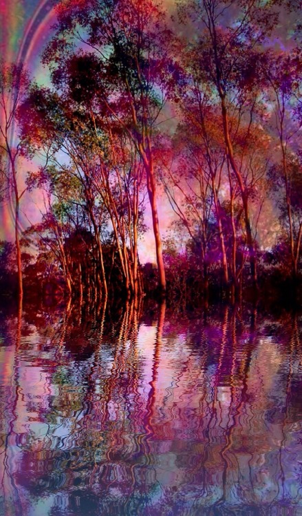 pureblindingcolour:  A trip to the forest by   by pureblindingcolour
