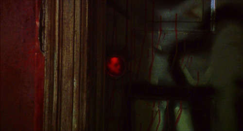 violasmirabiles:Adam’s darkroom