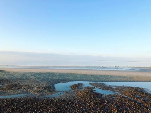 reidreceipts:SHALLOWS Young girls are dredged from the shallows in a Cape Cod town, and local law e