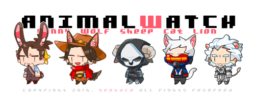 animal watch (　･ิω･ิ) 