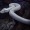 blacksnakemadame: