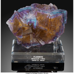 hematitehearts:  Yellow &amp; Purple FluoriteLocality;  Minerva No. 1 Mine (Ozark-Mahoning No. 1 Mine), Ozark-Mahoning group, Cave-in-Rock, Cave-in-Rock Sub-District, Hardin Co., Illinois, USA  Size:   15.31 x 12.15 x 10.07 cm  