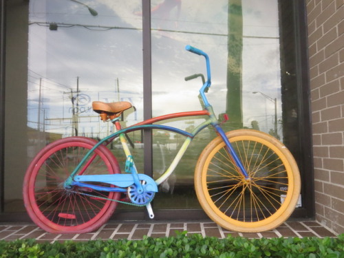 michel-flores-tavizon:Bicicleta multicolor.
