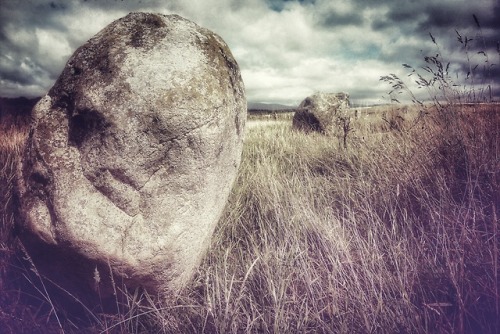 Grey Croft Stone Circle, Cumbria, 4.8.18. This is a first visit to this site for me. Located close t