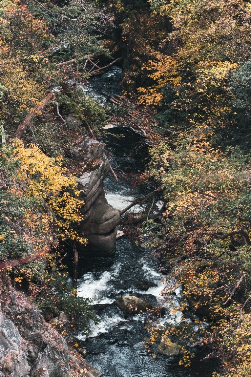 Das Bodetal zwischen Treseburg und Thale gehört für mich definitiv zu den Highlights im Ha