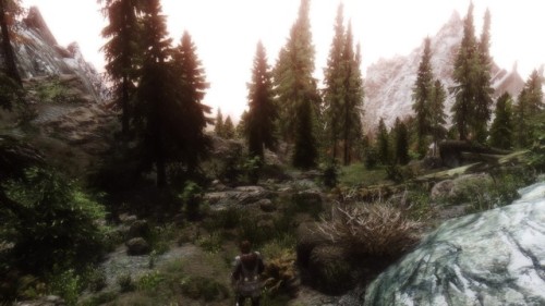 From Minthe’s perspective, leaving Helgen, following Hadvar &hellip;