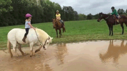 nudityandnerdery:  flawlessxqueen:  sizvideos:  Pony forgets he has a little girl on his back and rolls around in a puddle of mud - Full video  He ain’t forget 😂😂😂   Man, the scene with Artax in the Swamp of Sorrows looks a lot different than