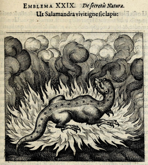 Matthäus Merian (1593-1650), “Atalanta Fugiens” by Michael Maier, 1618Source