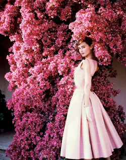  Audrey Hepburn photographed by Norman Parkinson,