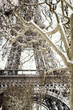 timefliestoday:  Eiffel Tower in the winter_1