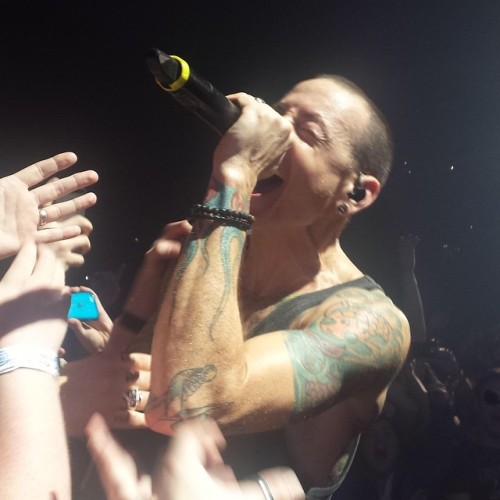 linkinpark:  LPU member Jack shared a photo of Chester for this week’s #LPUTBT
