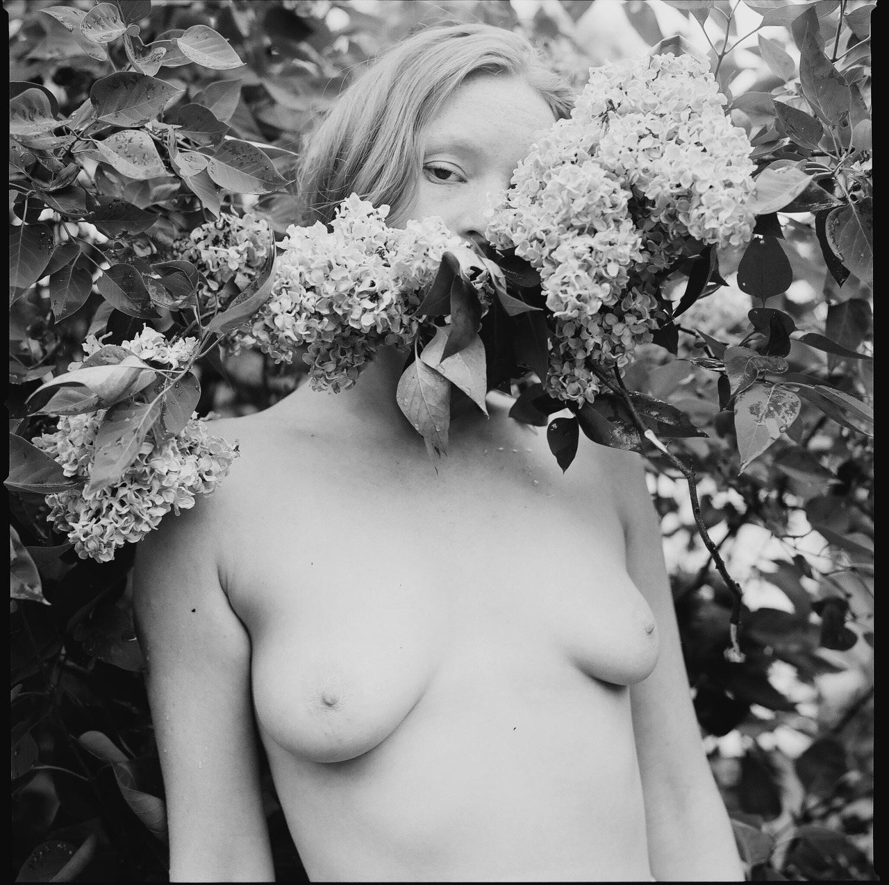 coconutdreamin:  &ldquo;And yesterday I saw you kissing tiny flowers, But all