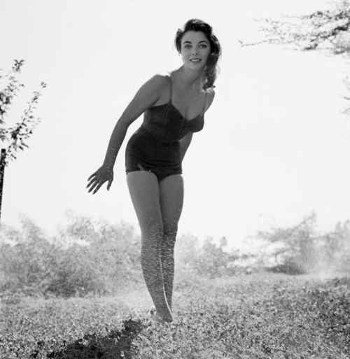 vintagebreeze:Joan Collins.