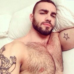 greekromeo:  [GREEK ROMEO]  HAIRY - SCRUFF