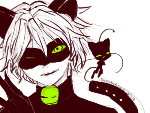 masked-bixch:CHAT NOIR