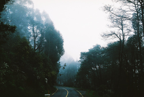 magicsystem:  (by savvysmilinginlove)