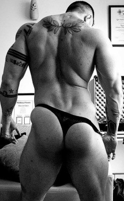 bumfun-in-briefs:  