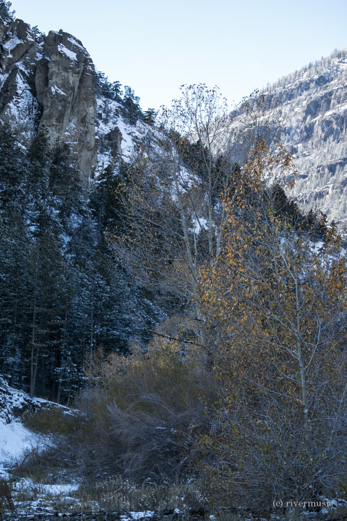 Autumnal tints in canyon shadows, Shoshone National Forest, Wyoming: © riverwindphotography, Oc