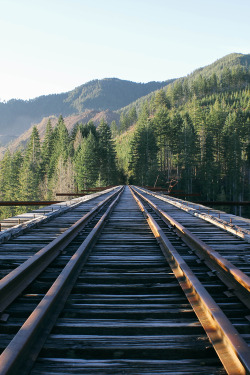 0rient-express:  Vance Creek Bridge | by Brannon Ronia. 